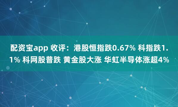 配资宝app 收评：港股恒指跌0.67% 科指跌1.1% 科网股普跌 黄金股大涨 华虹半导体涨超4%
