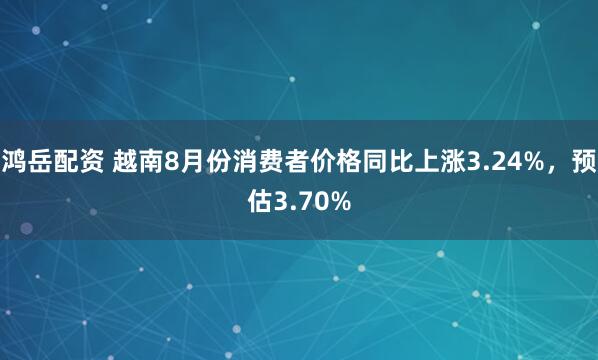 鸿岳配资 越南8月份消费者价格同比上涨3.24%，预估3.70%